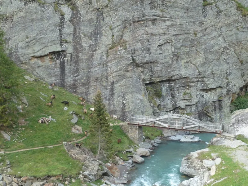 Schlucht mit Hängebrücke in der Nähe