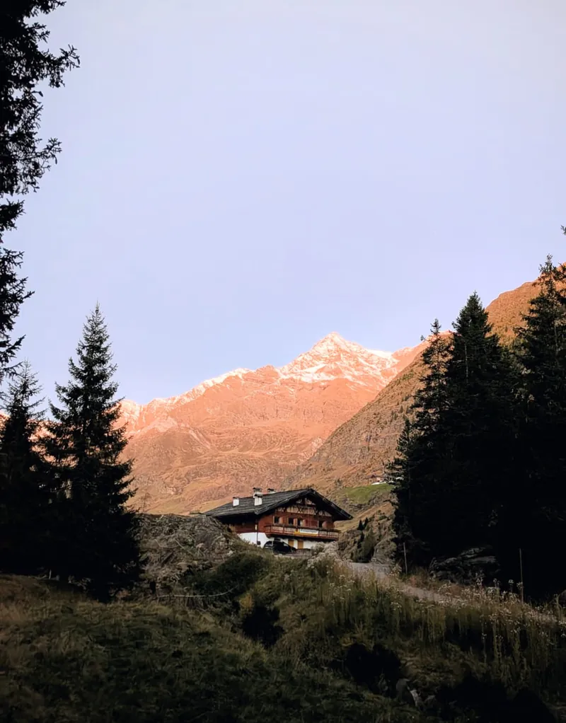 Der Hof im Herbst zwischen Fichten, dahinter der Berg im Abendlicht