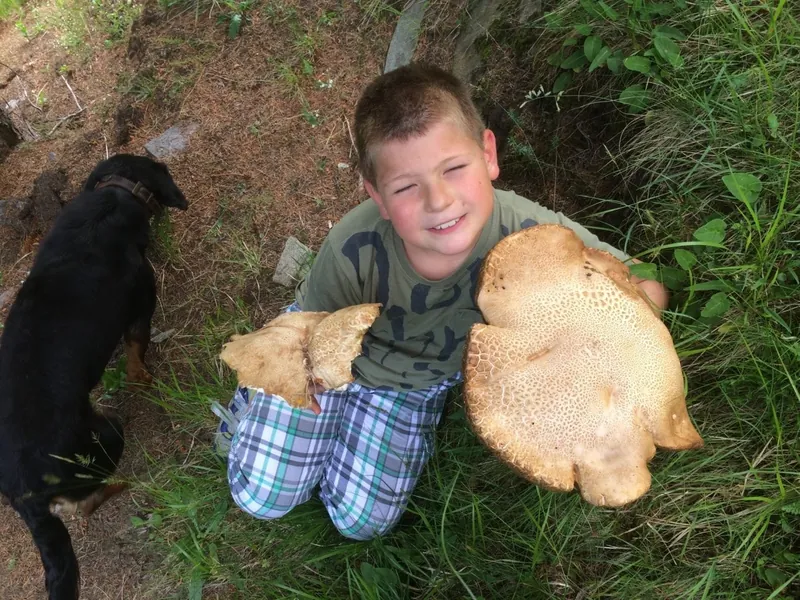 Kind mit großen Pilzen im Wald