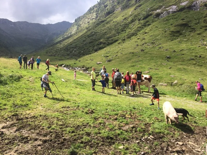 Wandergruppe mit Ziegen auf einer Almwiese