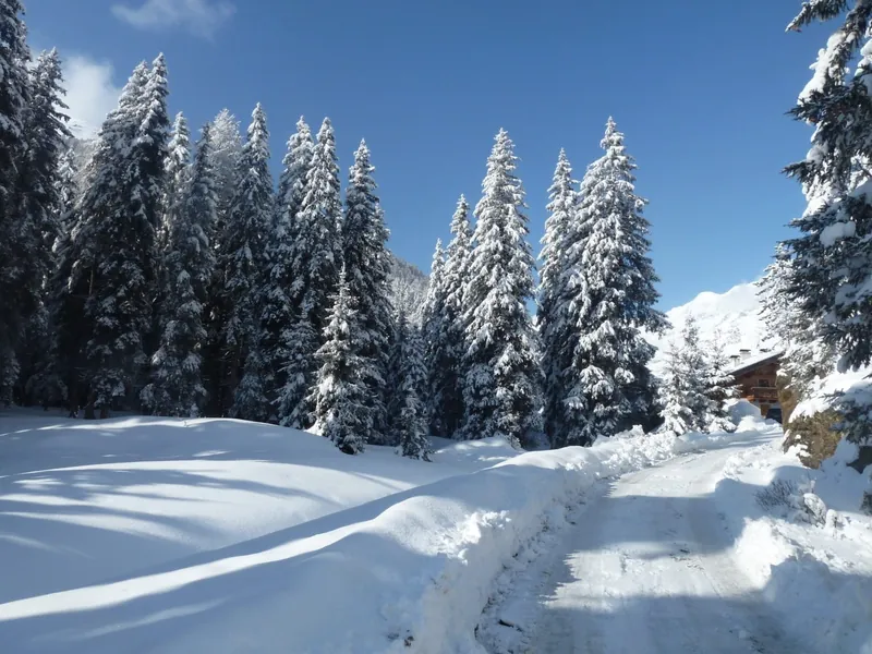 Verschneiter Weg durch den Winterwald